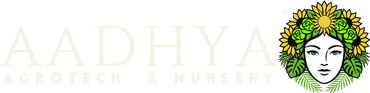 Aadhya Agrotech & Nursery