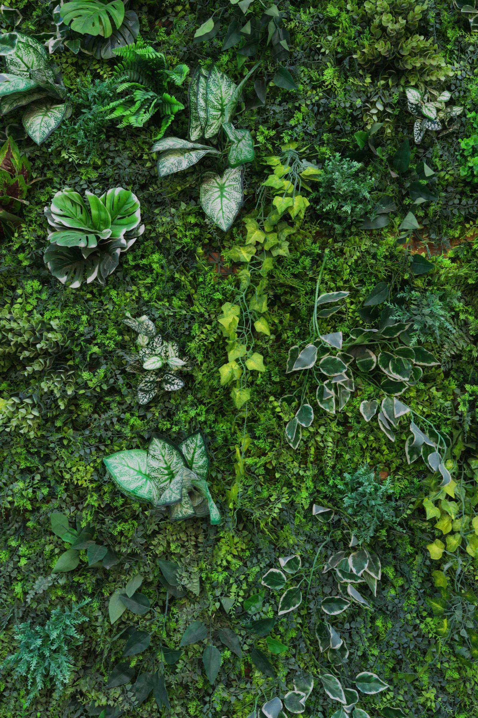 Vertical Gardens