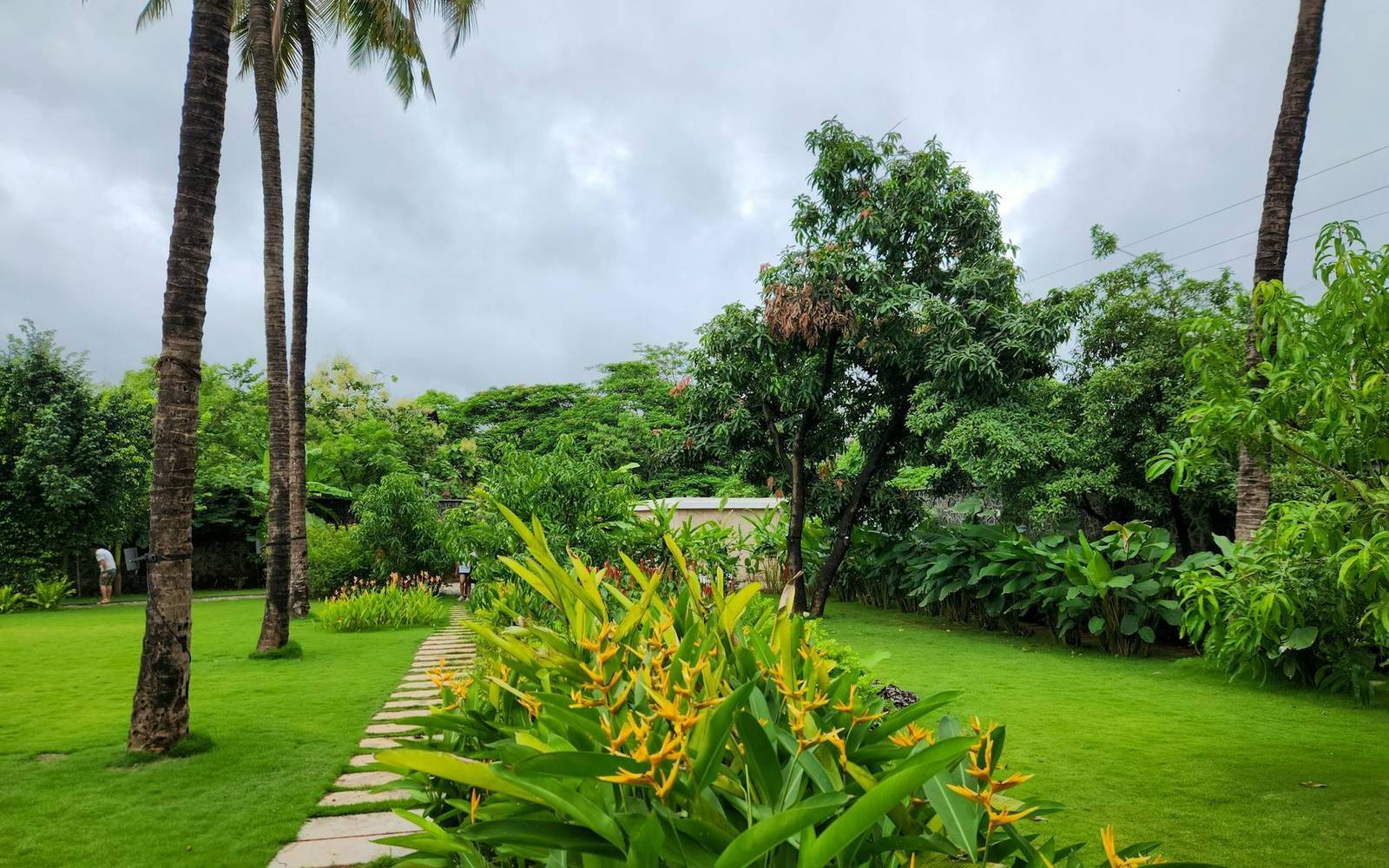 Villas & farmhouses